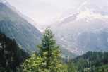 direction : le Lac Blanc